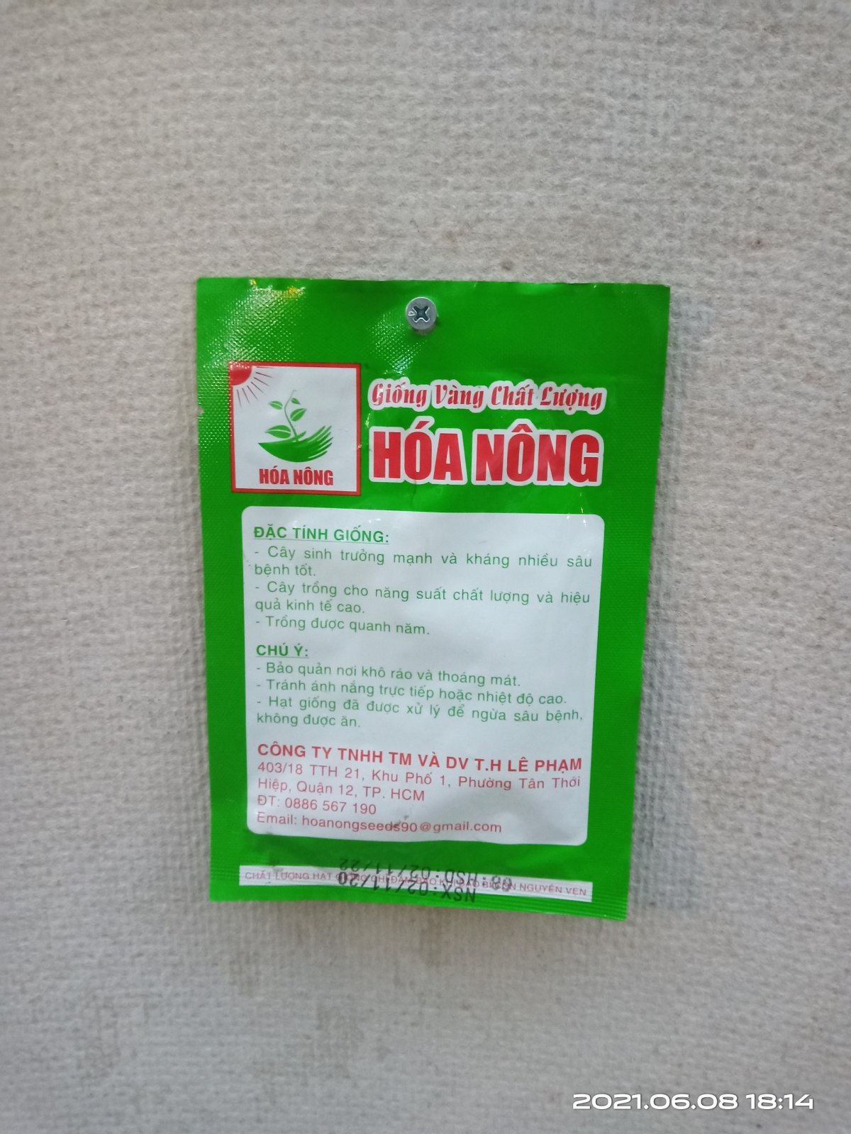 GIỐNG ĐẬU ĐŨA HN-03 2