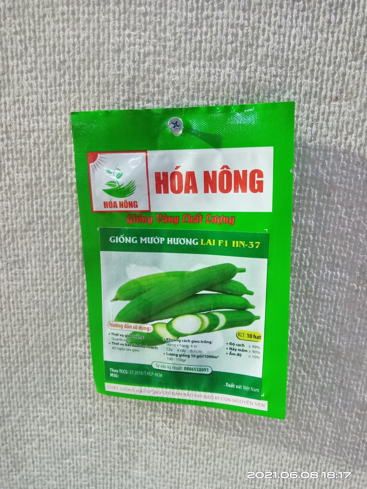 GIỐNG MƯỚP HƯƠNG HN-37
