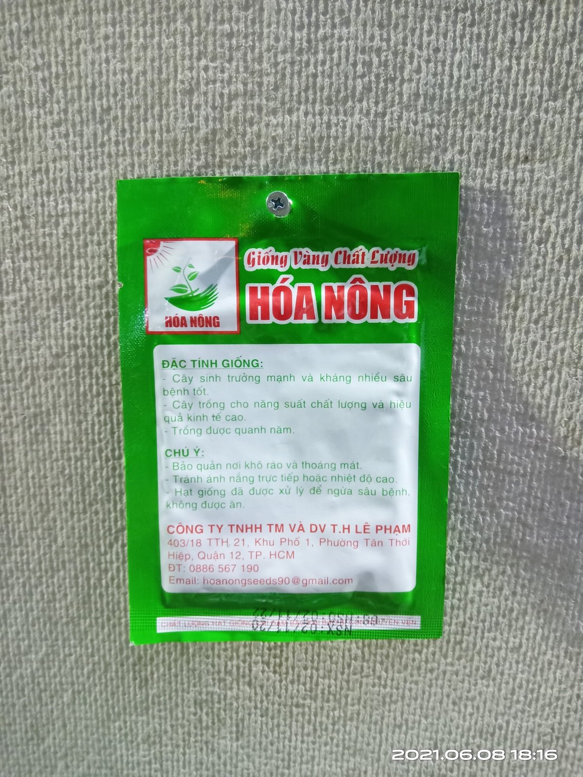 GIỐNG MƯỚP HƯƠNG HN-37 2