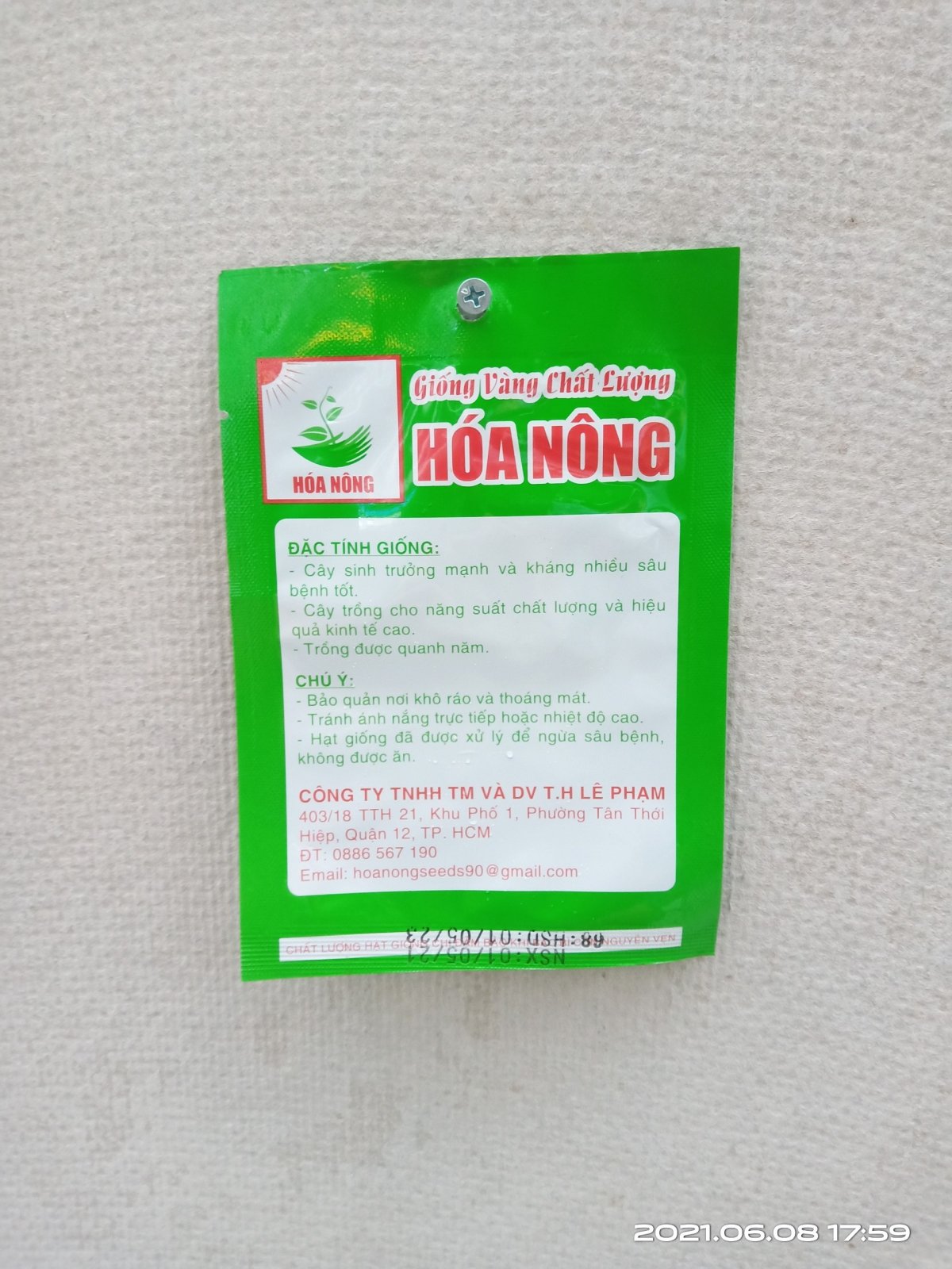 GIỐNG ỚT SỪNG VÀNG F1 HN-308 2