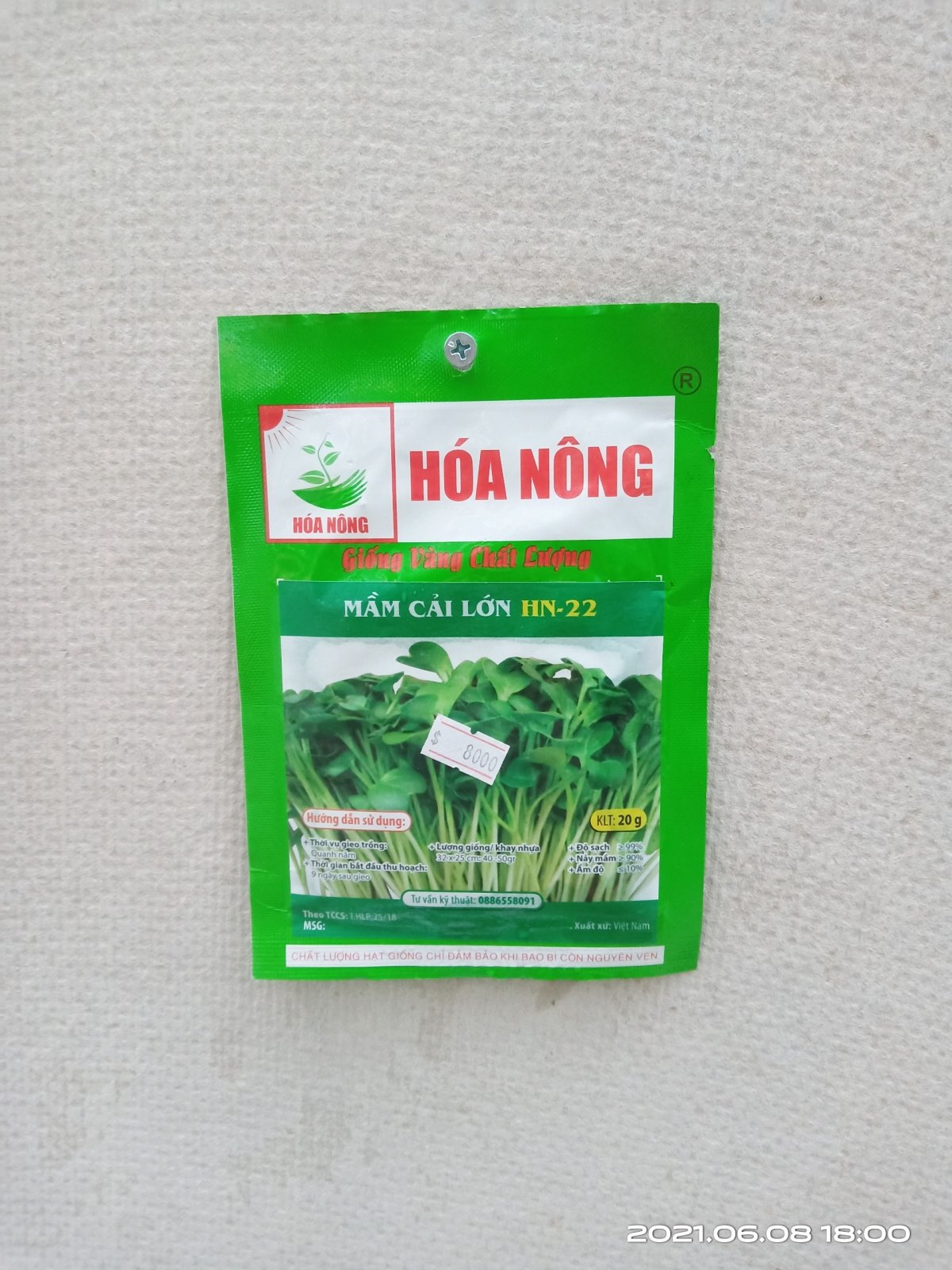 MẦM CẢI LỚN HN-22