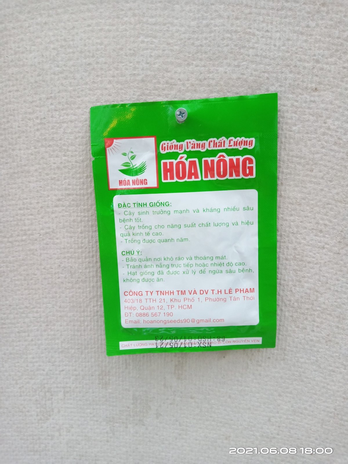 MẦM CẢI LỚN HN-22 2