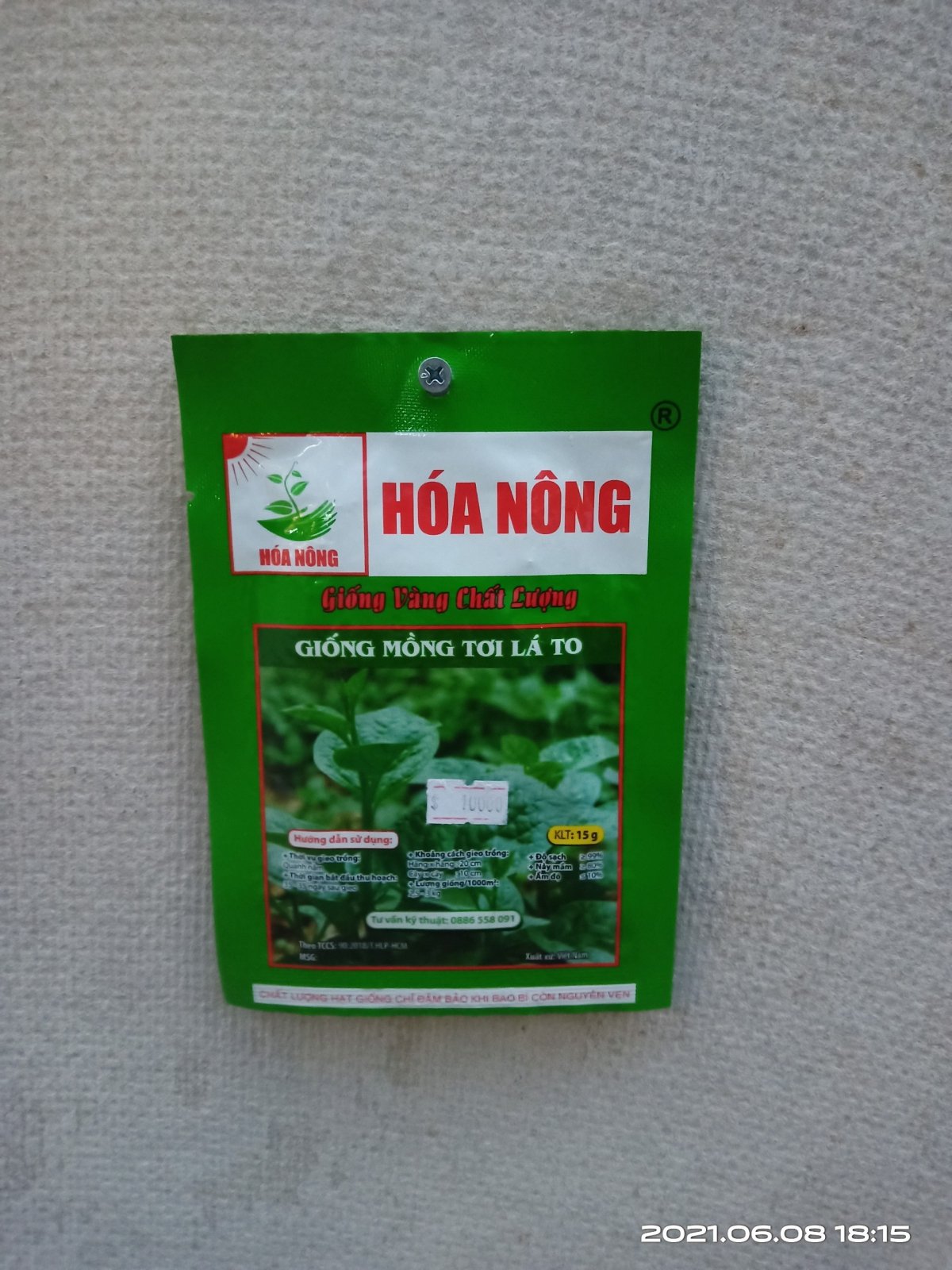 MỒNG TƠI LÁ TO