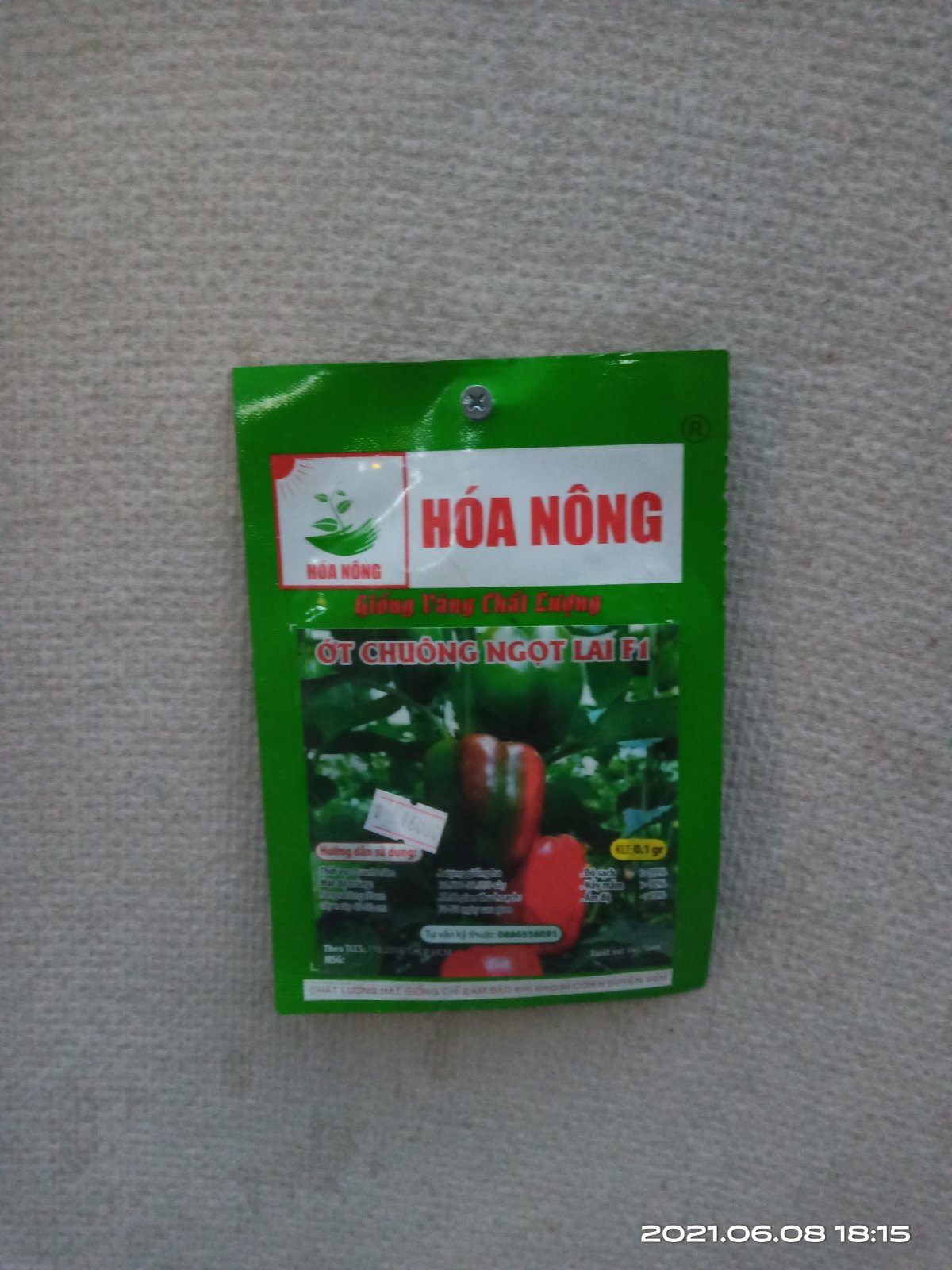 ỚT CHUÔNG NGỌT LAI F1