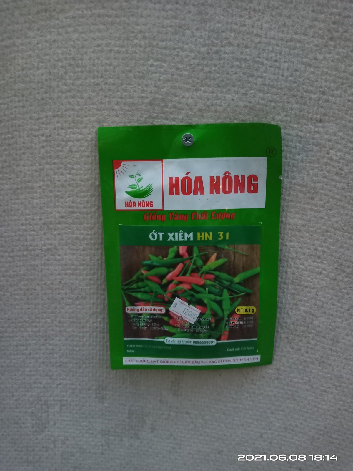 ỚT XIÊM HN-31