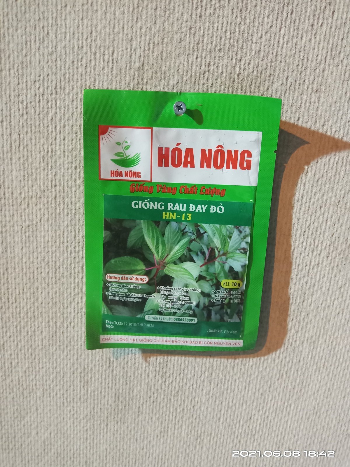 RAU ĐAY ĐỎ HN-13