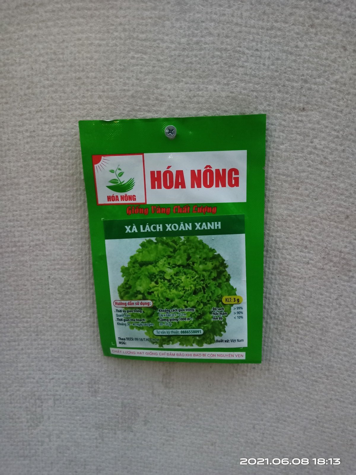 XÀ LÁCH XOĂN XANH