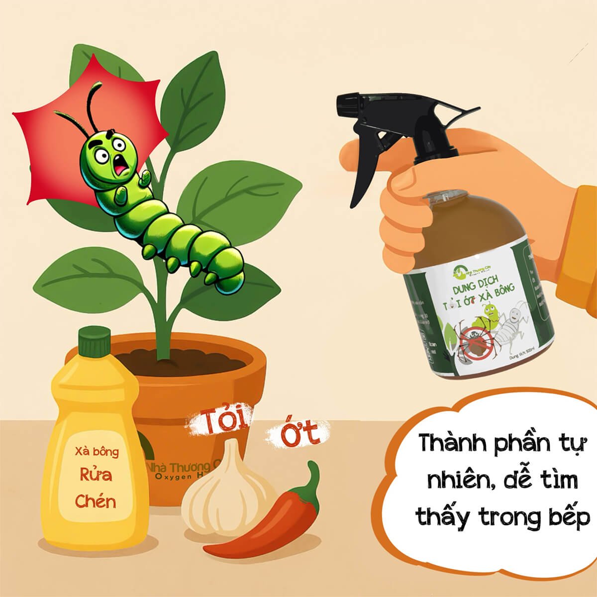 BẢO VỆ CÂY KHỎI CÔN TRÙNG GÂY HẠI DÀNH CHO NGƯỜI BẬN RỘN 3