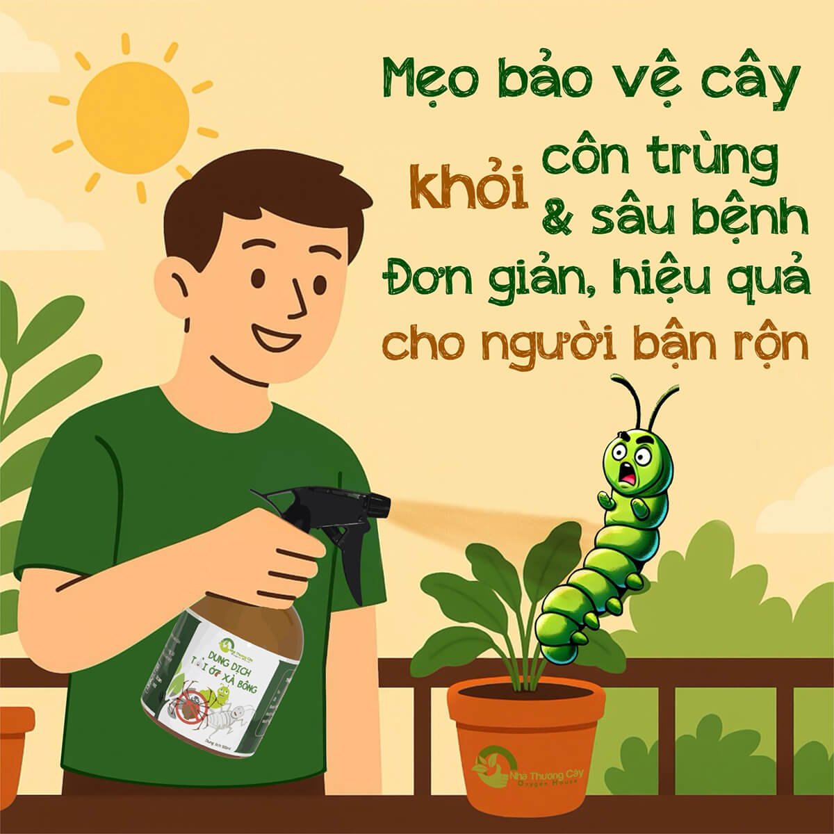 BẢO VỆ CÂY KHỎI CÔN TRÙNG GÂY HẠI DÀNH CHO NGƯỜI BẬN RỘN