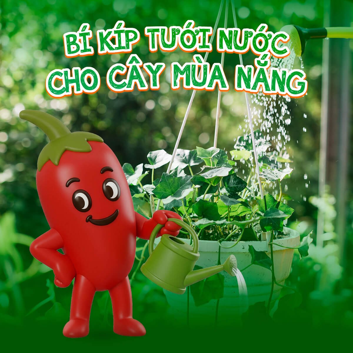Bí kíp tưới nước cho cây mùa nóng