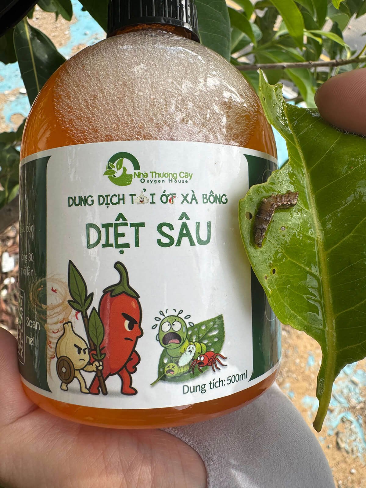 BÍ QUYẾT PHÒNG NGỪA SÂU BỆNH - RỆP HẠI VÀO MÙA MƯA 2