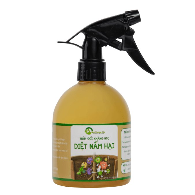 BÍ QUYẾT PHỤC HỒI CẤP TỐC CHO CÂY 3