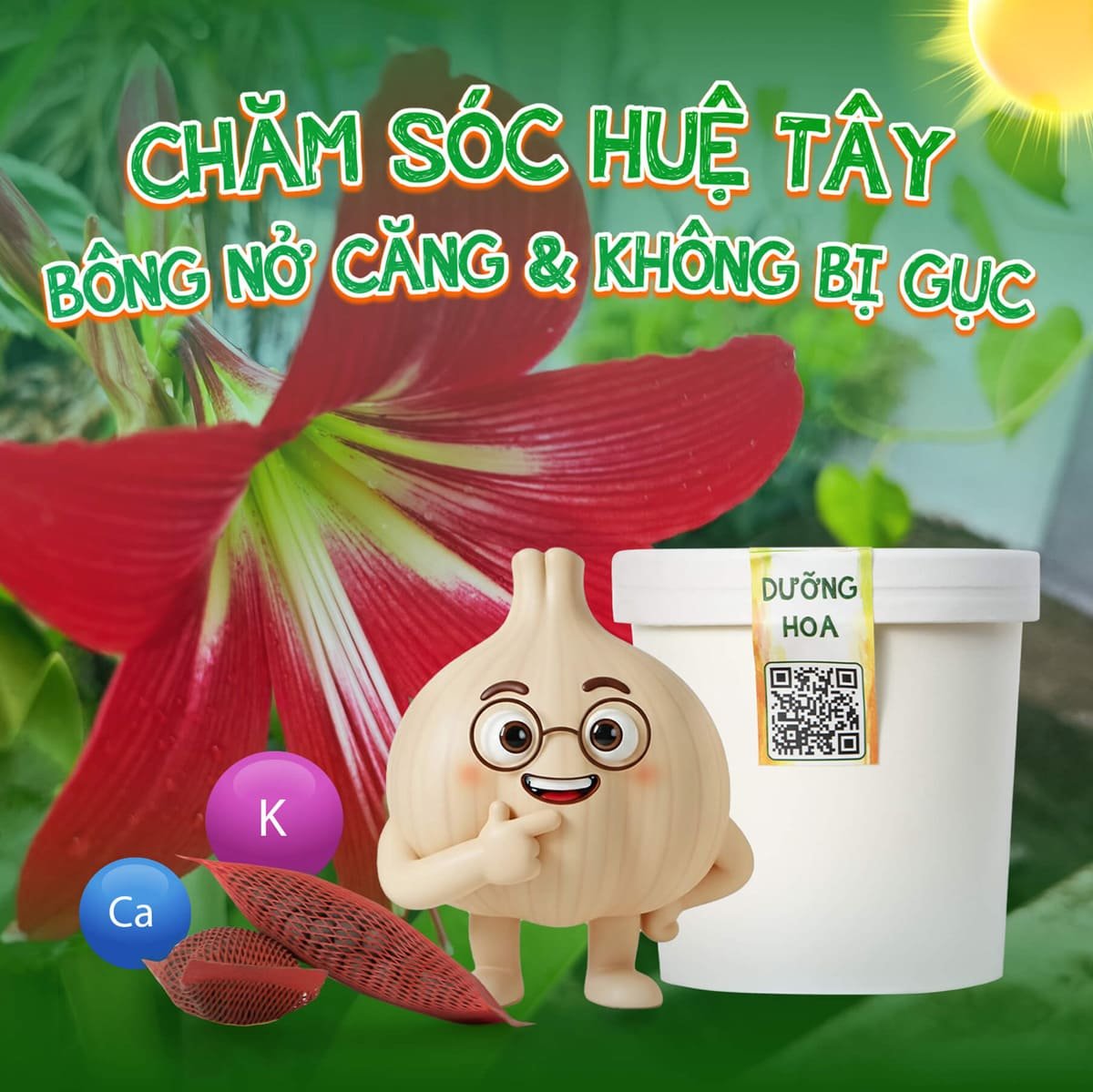Cách cứu cây huệ Tây cho bông nở căng và không bị gục