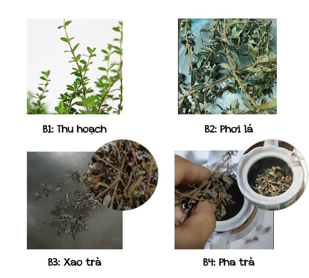 CÁCH PHA TRÀ HÀM HƯƠNG GIÚP GIẢM STRESS, DỄ TẬP TRUNG 2