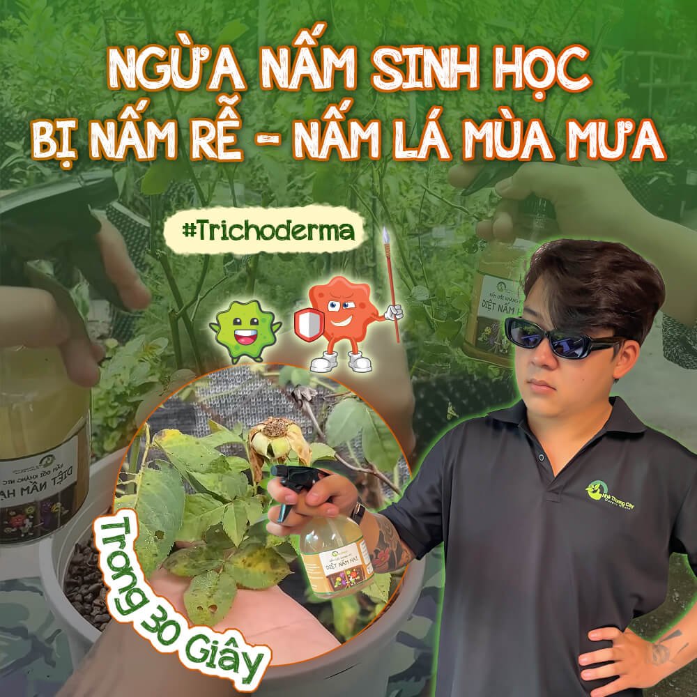 Tuyệt chiêu sinh học: Ngừa nấm rễ, nấm lá - Dung dịch Nấm đối kháng cho cây