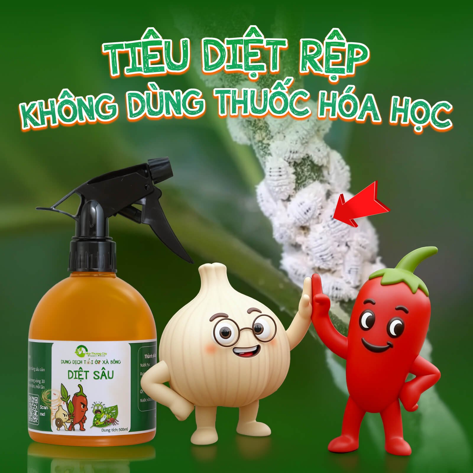 Cách xử lý - phòng ngừa rệp sáp mà không sử dụng thuốc trừ sâu hóa học