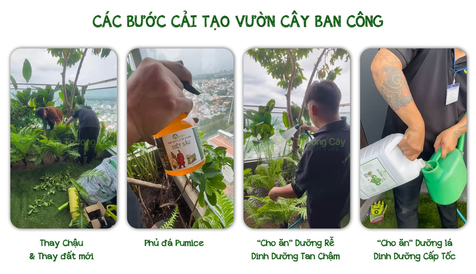 CẢI TẠO CHĂM SÓC CÂY BAN CÔNG Ở THỦ ĐỨC 3