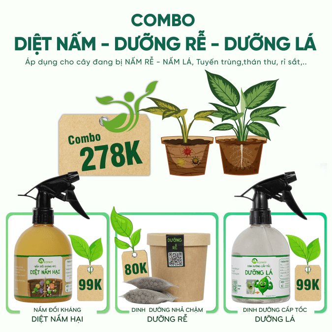 COMBO DIỆT NẤM HẠI - DƯỠNG RỄ - DƯỠNG LÁ