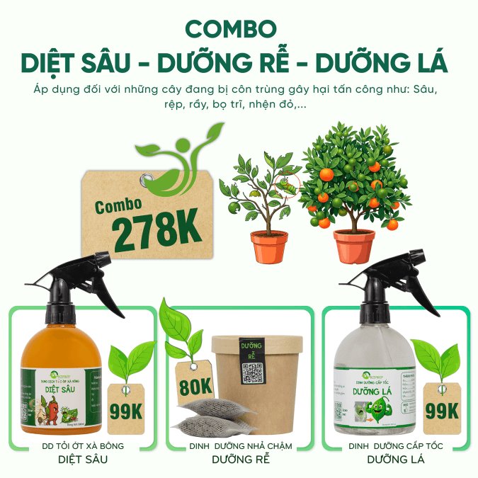 COMBO DIỆT SÂU - DƯỠNG RỄ - DƯỠNG LÁ