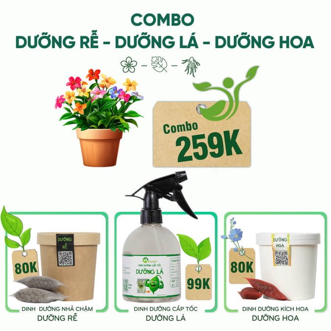COMBO DƯỠNG RỄ - DƯỠNG LÁ - DƯỠNG HOA