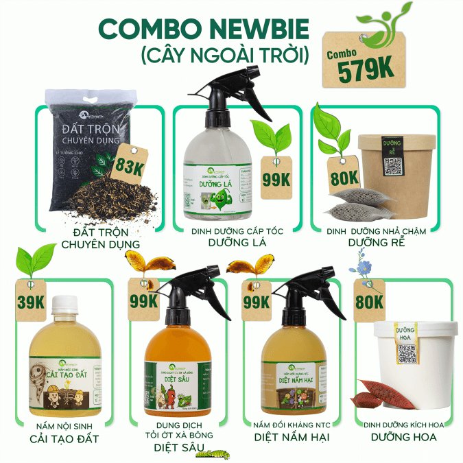 COMBO NEWBIE 1 TỐI ƯU CHO CÂY NGOÀI TRỜI