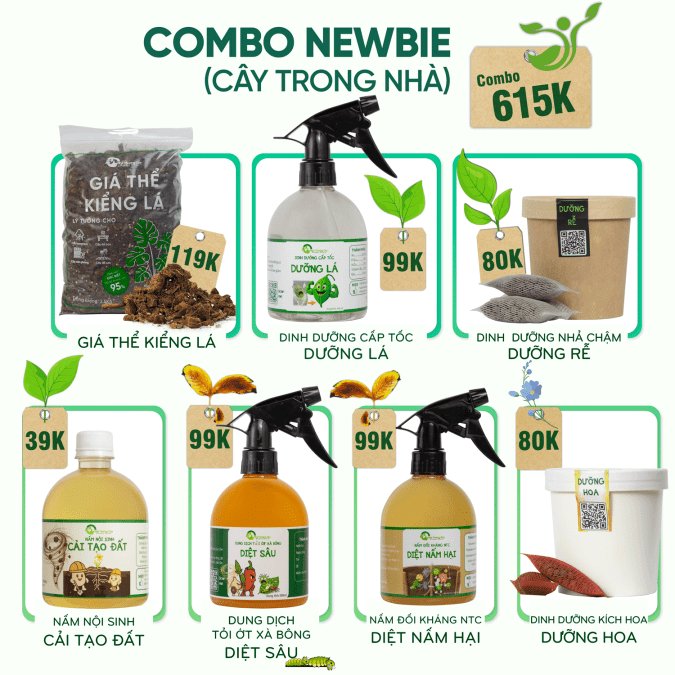 COMBO NEWBIE 2 TỐI ƯU CHO CÂY TRONG NHÀ