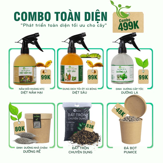 COMBO PHÁT TRIỂN TOÀN DIỆN CHO CÂY