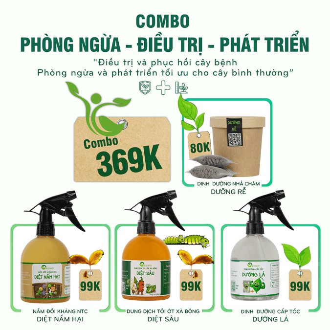 COMBO PHÒNG NGỪA - ĐIỀU TRỊ VÀ PHÁT TRIỂN TỐI ƯU CHO CÂY