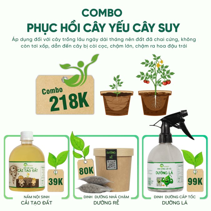 COMBO PHỤC HỒI CÂY YẾU CÂY SUY