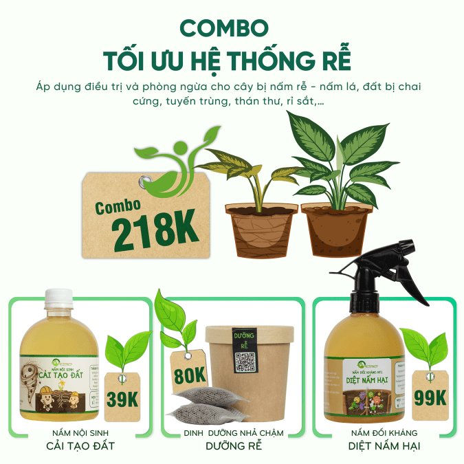 COMBO TỐI ƯU HỆ THỐNG RỄ
