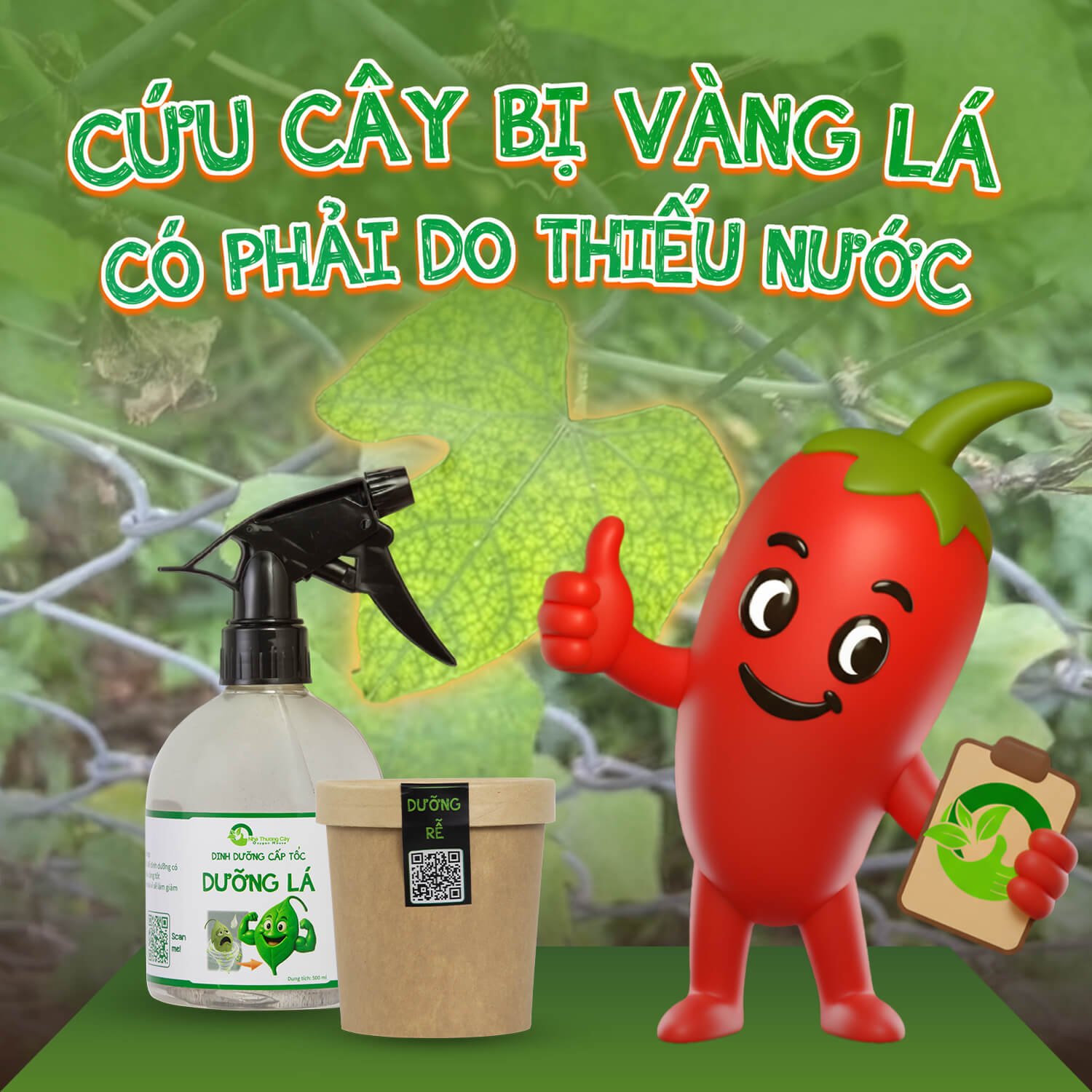 Cứu cây bị vàng lá: Đừng vội đổ thừa do thiếu nước!