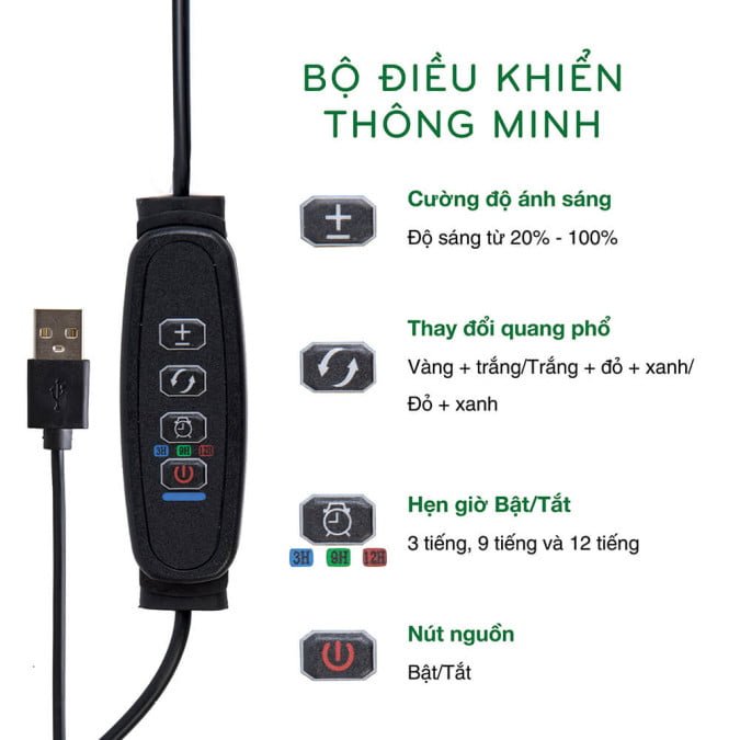 ĐÈN TRỒNG CÂY THÔNG MINH DIY - ĐÈN TRỒNG CÂY THAY ÁNH NẮNG 3