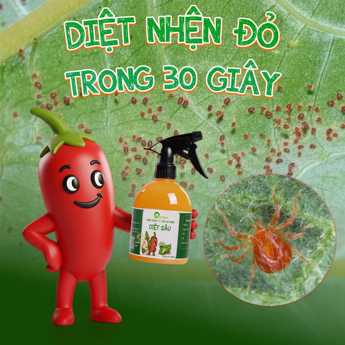 Diệt Nhện Đỏ: Sát Thủ Vô Tình Làm Cây Đứng Hình