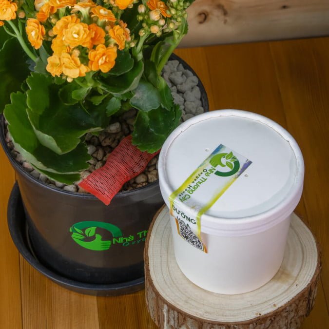 DINH DƯỠNG KÍCH HOA - DƯỠNG HOA 3