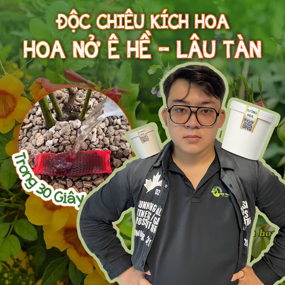 Độc chiêu kích hoa nở ê hề, đồng loạt và lâu tàn