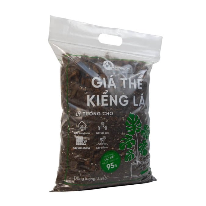 GIÁ THỂ KIỂNG LÁ CÂY TRONG NHÀ 2
