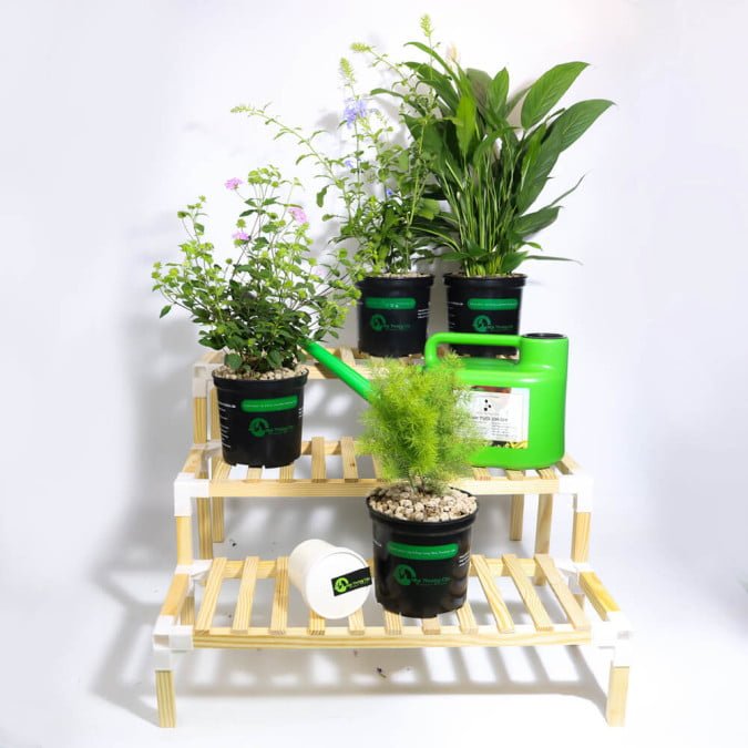 KỆ ĐỂ CÂY LẮP RẮP KHÔNG CẦN ỐC VÍT