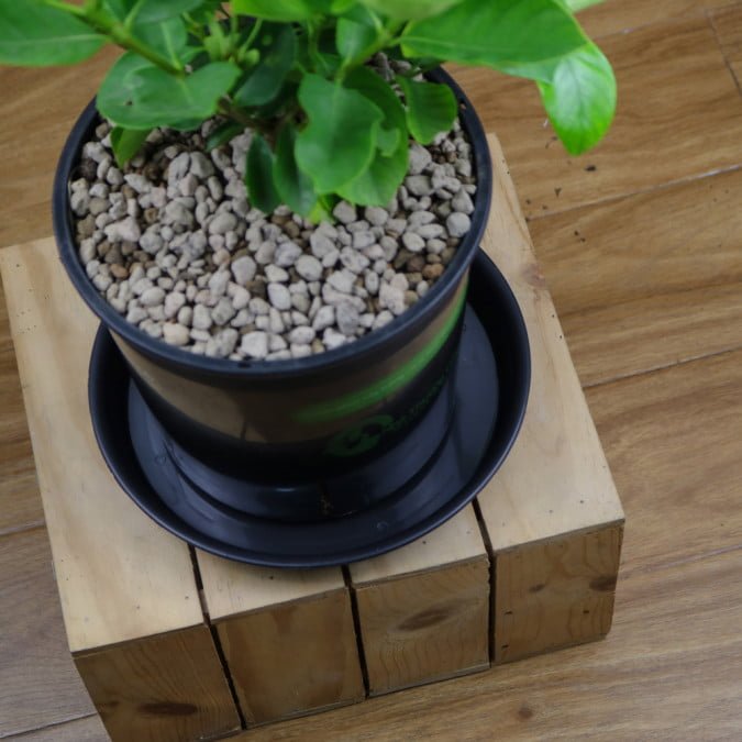 KHAY LÓT CHẬU CHỐNG TRÀN 2
