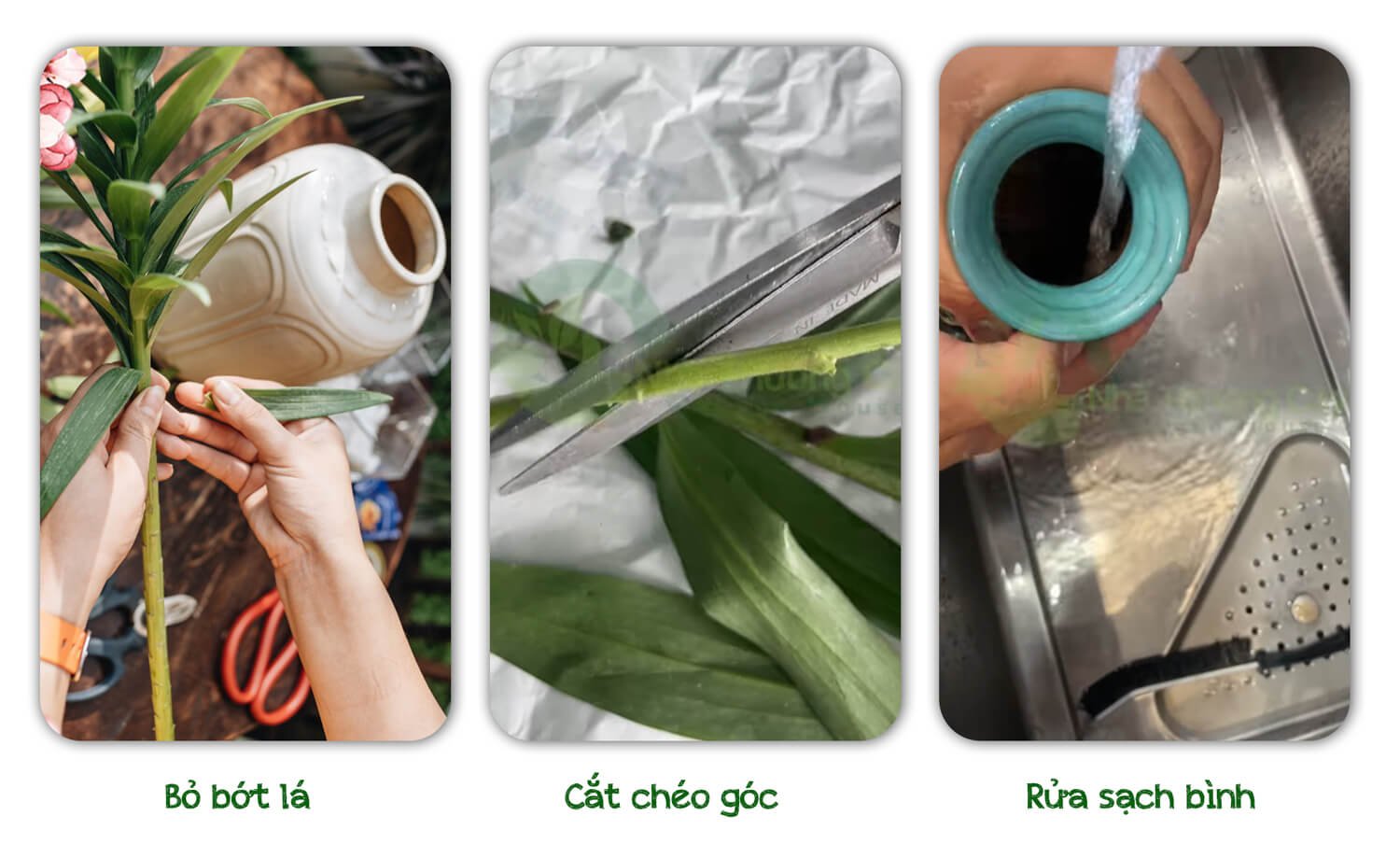 Mẹo cắm hoa bàn thờ Ông Táo - Gia Tiên: Nước trong veo, hoa tươi rói cả tuần 2