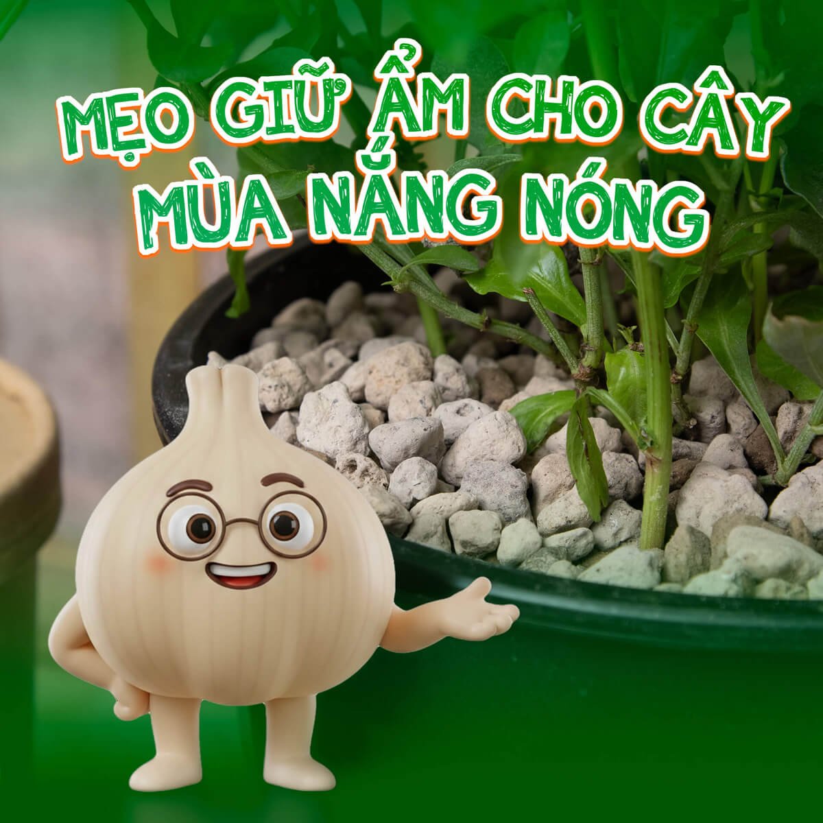 Mẹo giữ ẩm cho cây mùa nắng