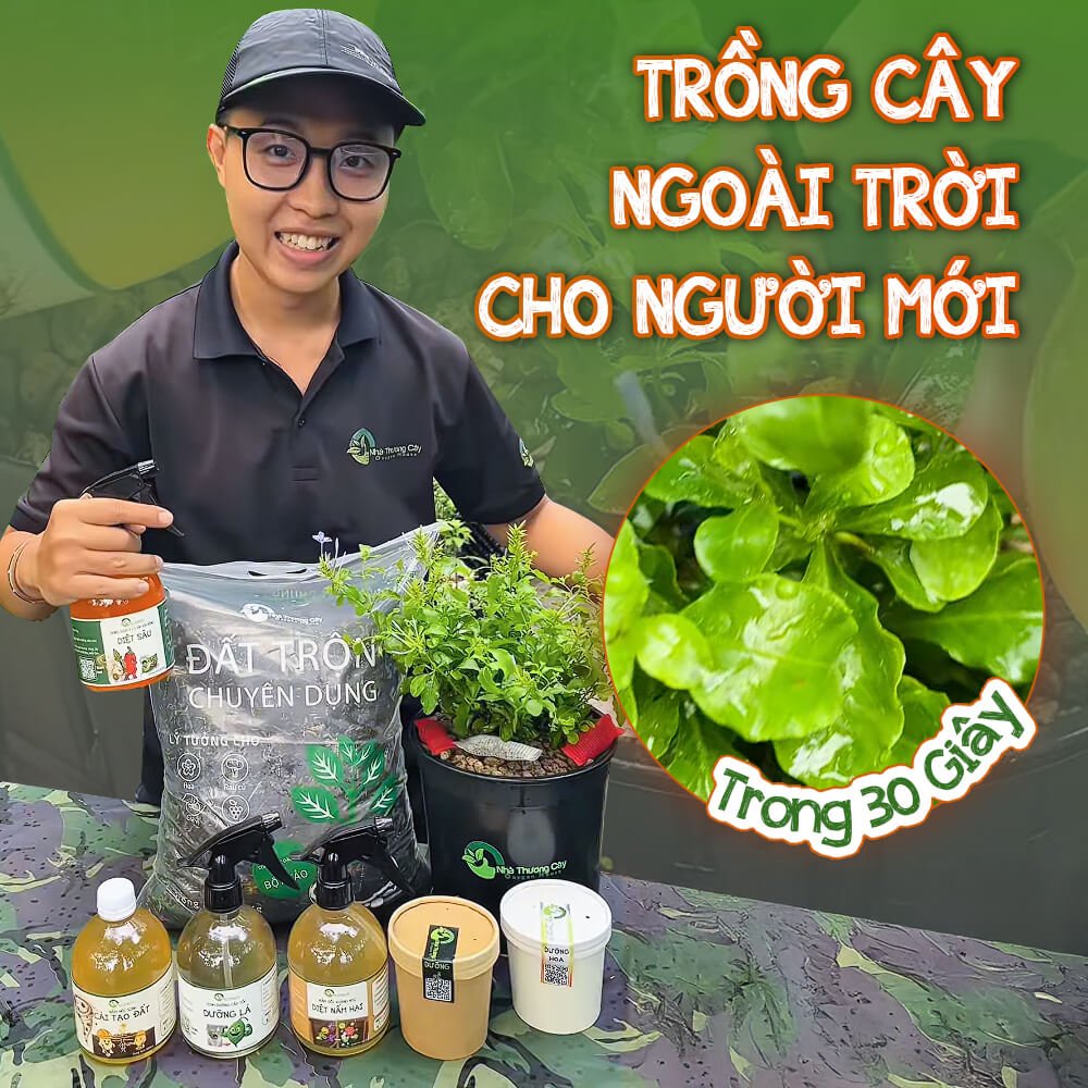 MỚI TẬP TRỒNG CÂY NGOÀI TRỜI THÌ CẦN NHỮNG GÌ?
