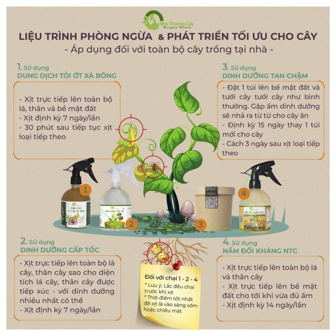 NẤM ĐỐI KHÁNG NTC - DIỆT NẤM HẠI 2