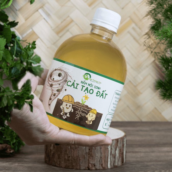 NẤM NỘI SINH NTC - CẢI TẠO ĐẤT 2