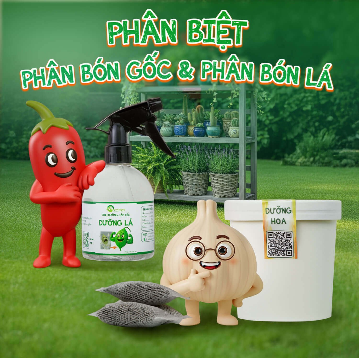 Phân biệt phân bón lá và phân bón gốc: Cây cần loại phân bón nào?