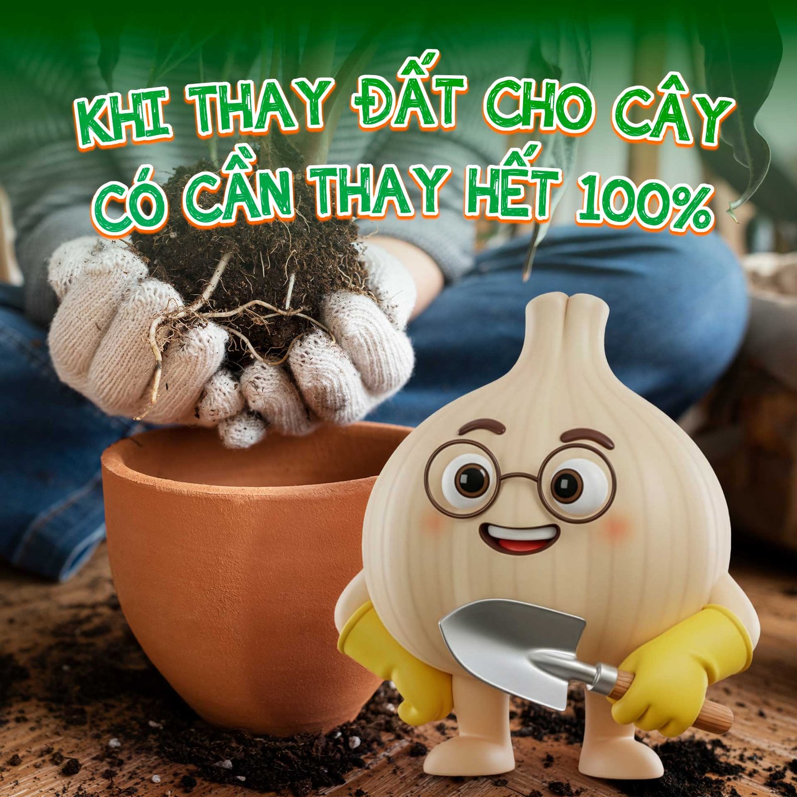 Thay đất cho cây có cần phải thay sạch 100% không?