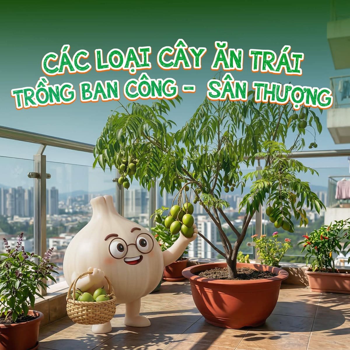Top những cây ăn trái trồng ban công - sân thượng nhanh có trái ăn
