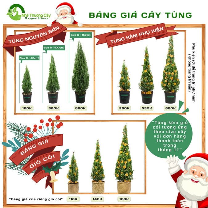 TÙNG NOEL - TÙNG NÚI - SƠN TÙNG