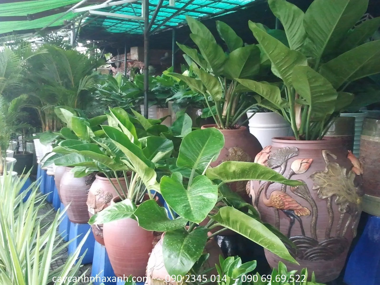 Đế Vương