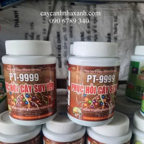 1138 - Thuốc Phục hồi cây - 100gr