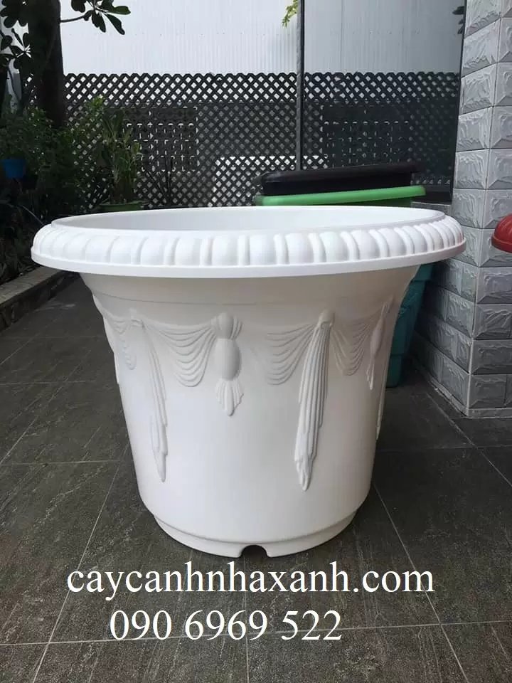 Chậu Nữ Hoàng 80 x 60